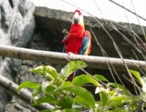Imagen Eco Zoológico San Martín